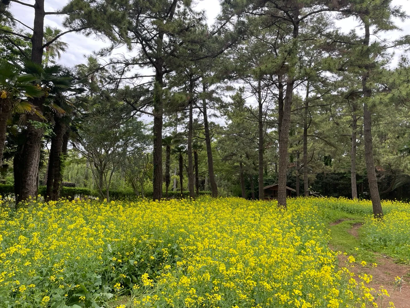 한림공원